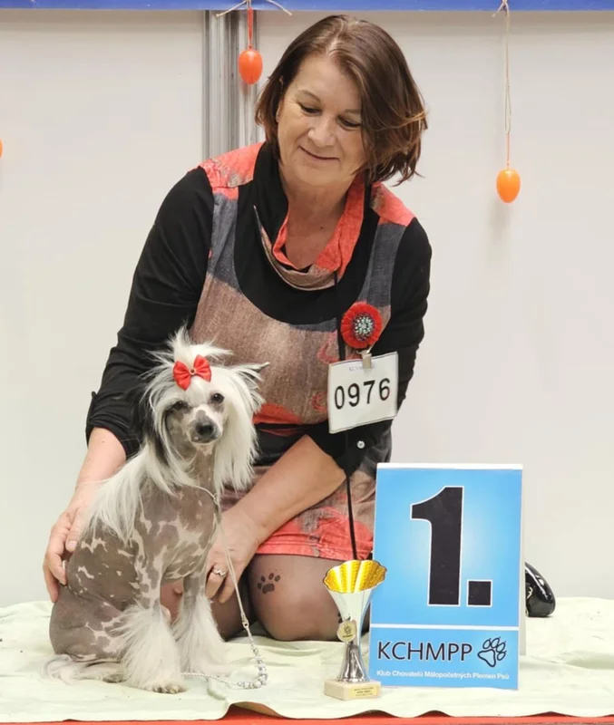 Krajská výstava KCHMPP, z.s.